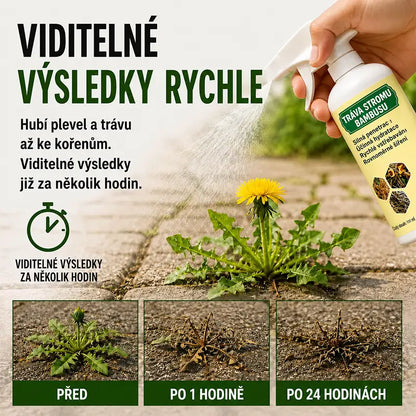 🔥 VÝPRODEJ 2026 – Rychle působící přírodní sprej proti plevelu a nežádoucí trávě