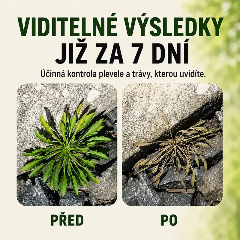 🔥 VÝPRODEJ 2026 – Rychle působící přírodní sprej proti plevelu a nežádoucí trávě