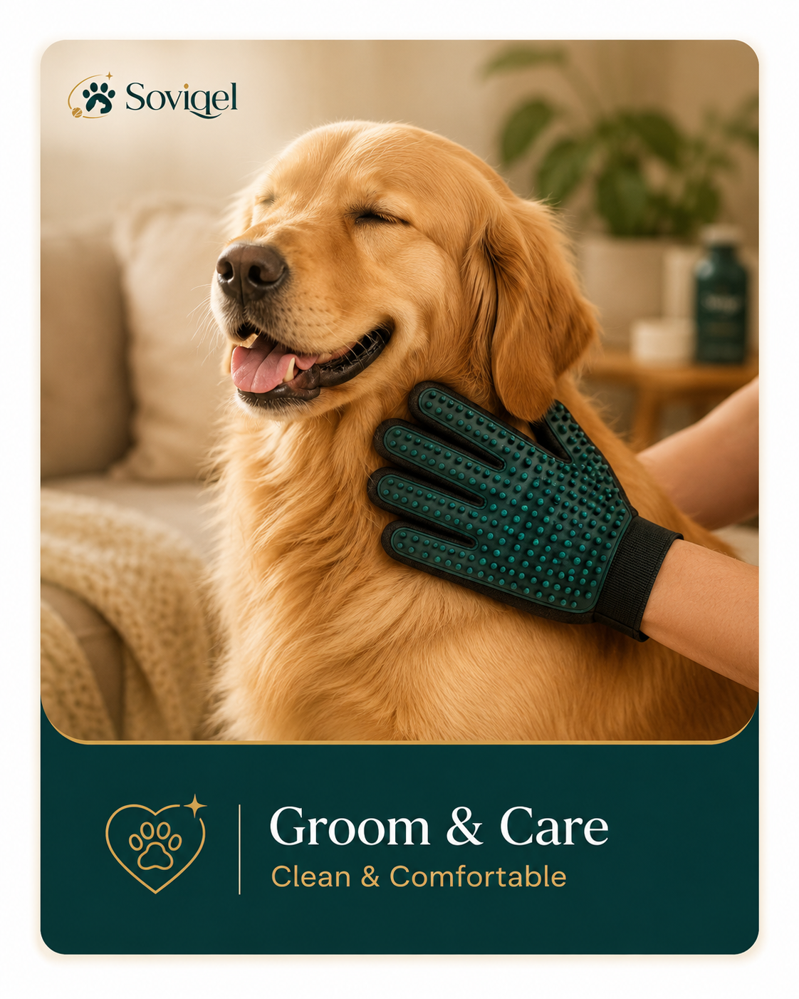 Groom and Care category